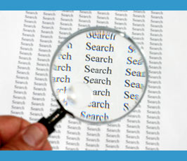 Magnified search term